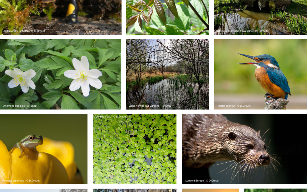Nature et Paysages (2)