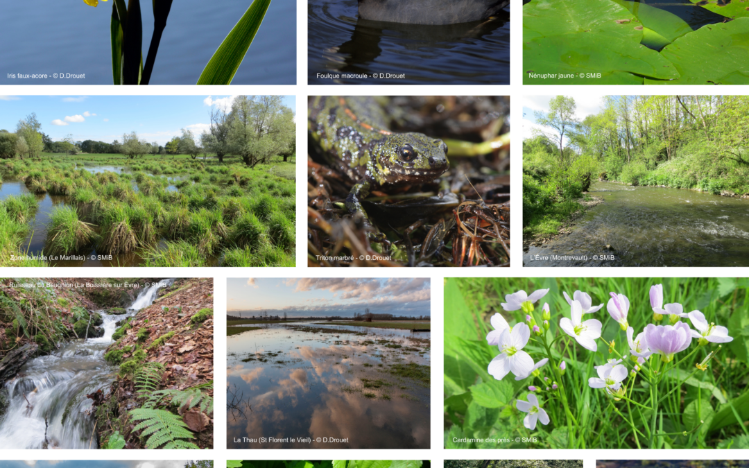 Nature et Paysages (3)