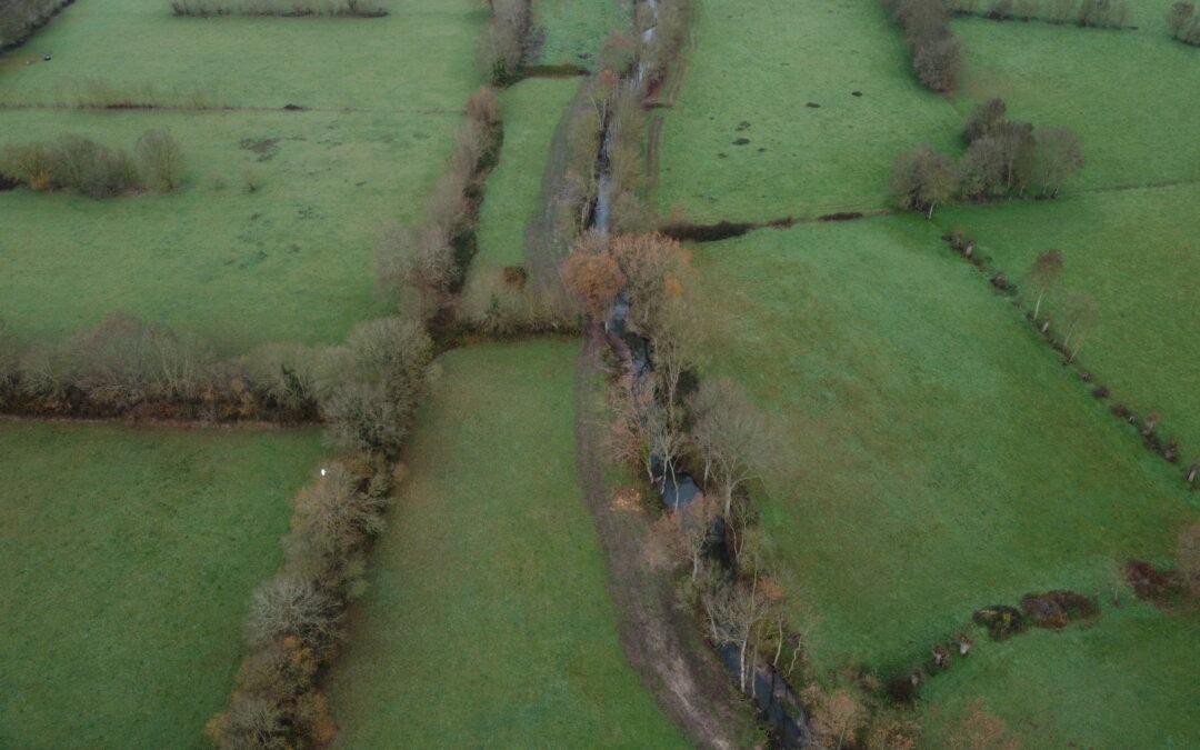Restauration de la boire de Drain – Drain (Orée d’Anjou)