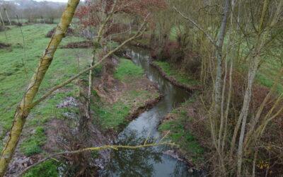 Restauration de la boire de Drain – Drain (Orée d’Anjou)