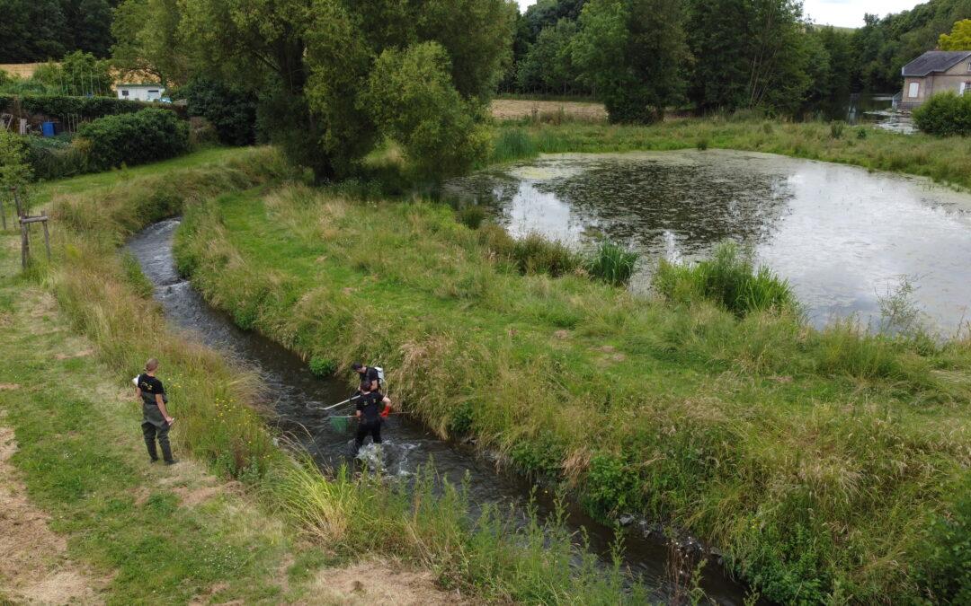Suivi piscicole sur la rivière de contournement à Raz Gué