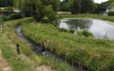 Suivi piscicole sur la rivière de contournement à Raz Gué