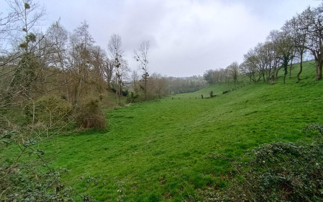 Contrat Territorial Eau Goulaine-Divatte-Robinets 2024-2029