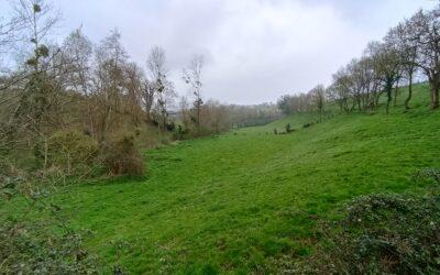 Contrat Territorial Eau Goulaine-Divatte-Robinets 2024-2029