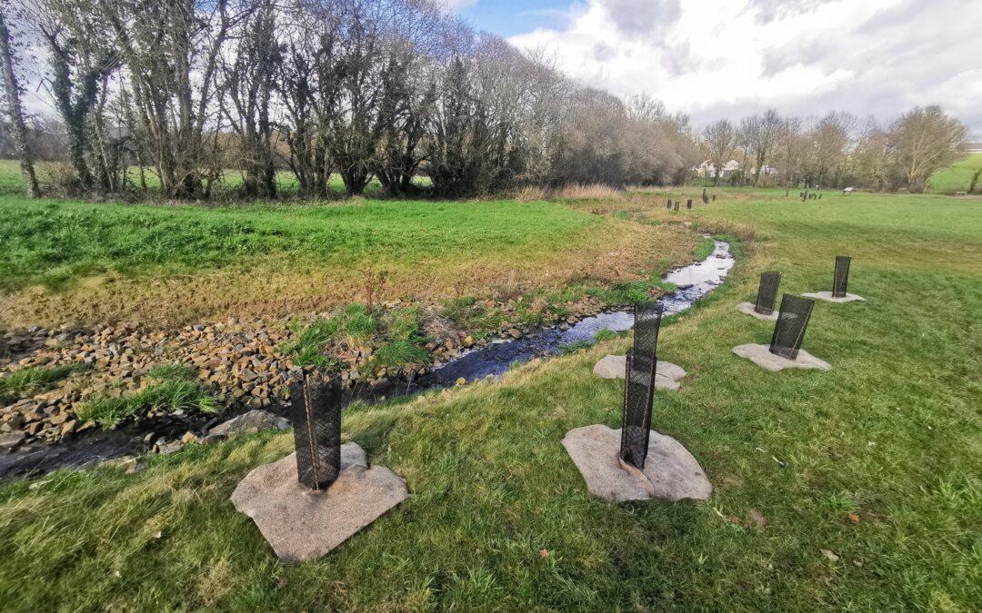 Plantations en bord de cours d’eau