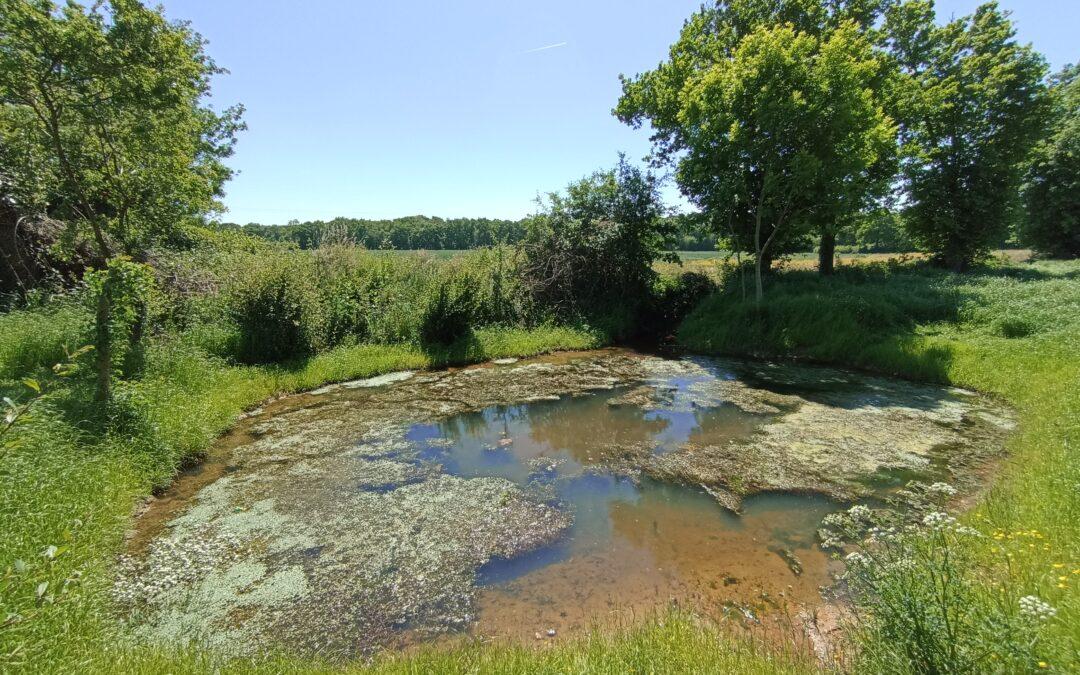 Restauration mares 2025