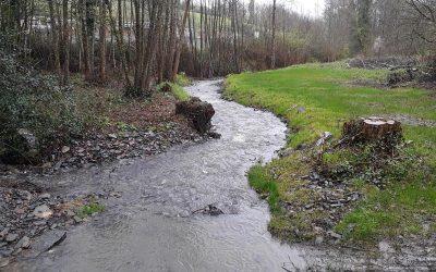 Restauration morphologique des cours d’eau