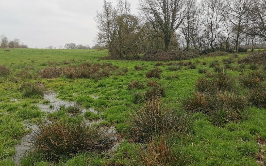 Les Têtes de bassin versant : définition, rôle, intérêt, fragilité